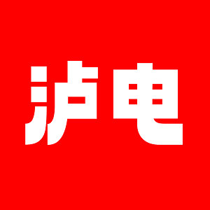 泸电科技 Logo